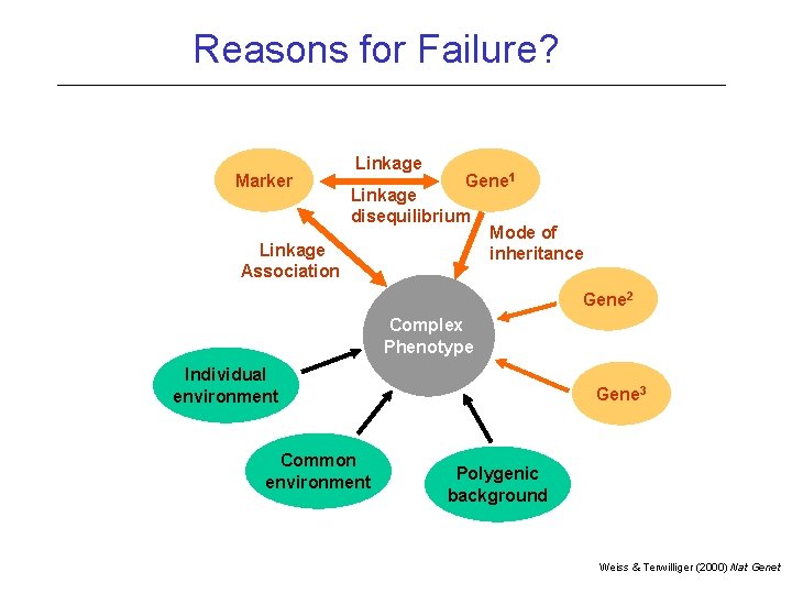 Reasons for Failure? Marker Linkage Gene 1 Linkage disequilibrium Linkage Association Mode of inheritance