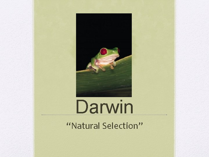 Darwin “Natural Selection” 