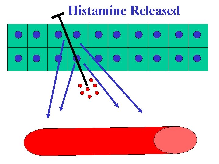 Histamine Released 