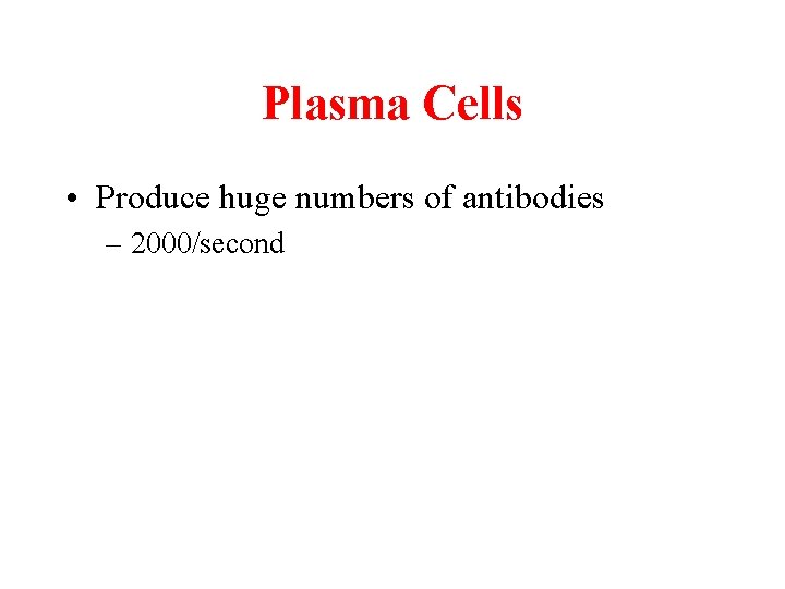 Plasma Cells • Produce huge numbers of antibodies – 2000/second 