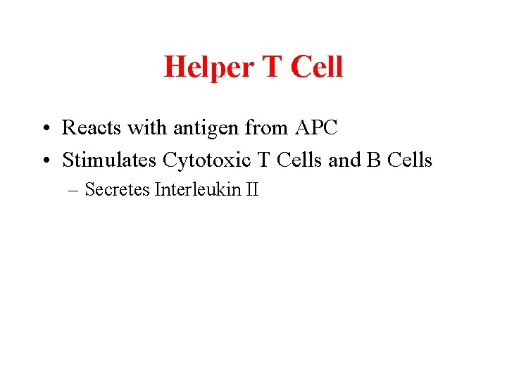 Helper T Cell • Reacts with antigen from APC • Stimulates Cytotoxic T Cells