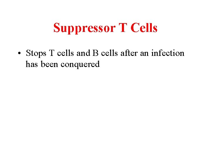 Suppressor T Cells • Stops T cells and B cells after an infection has