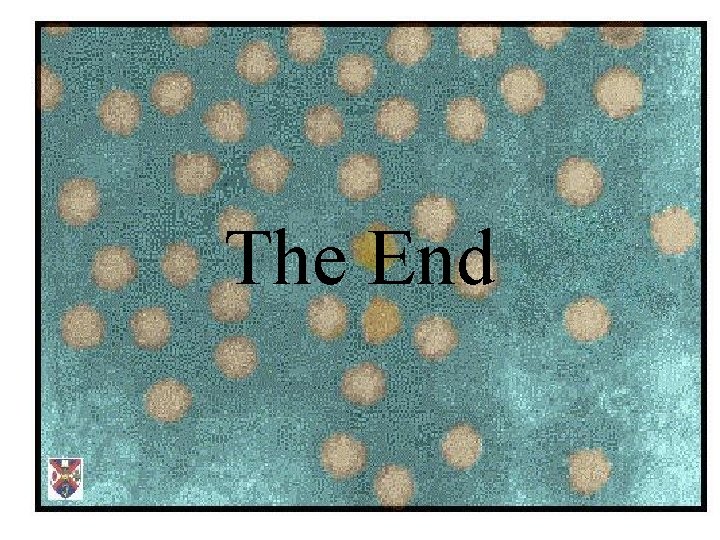 The End 