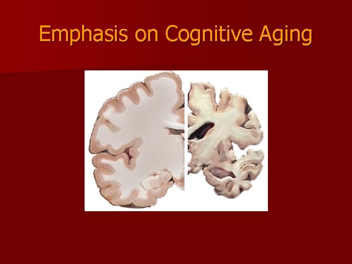 Emphasis on Cognitive Aging 