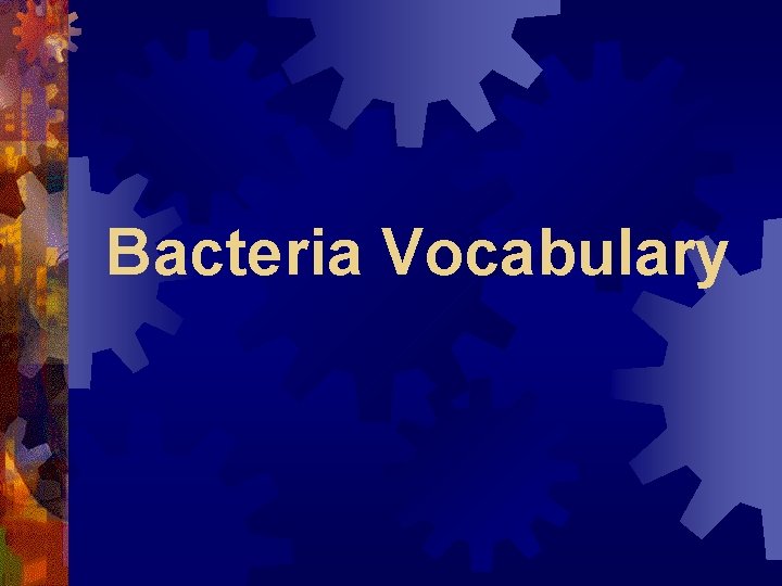 Bacteria Vocabulary 