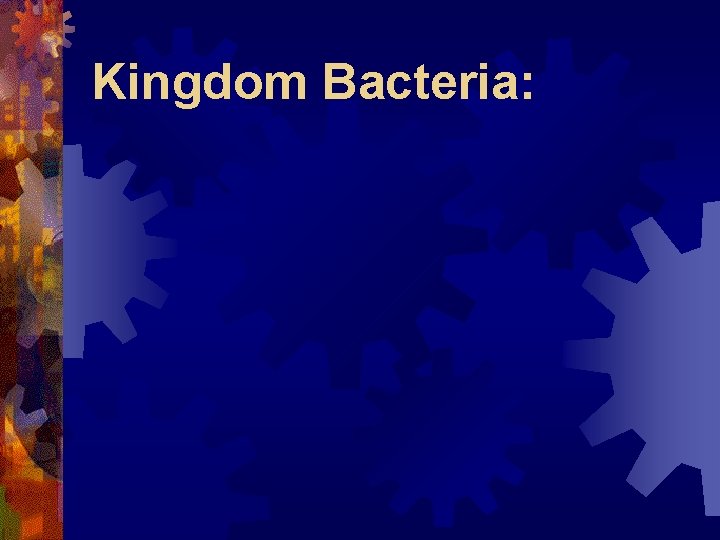 Kingdom Bacteria: 