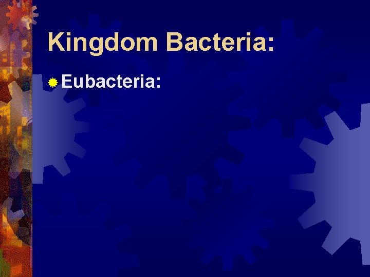 Kingdom Bacteria: ® Eubacteria: 