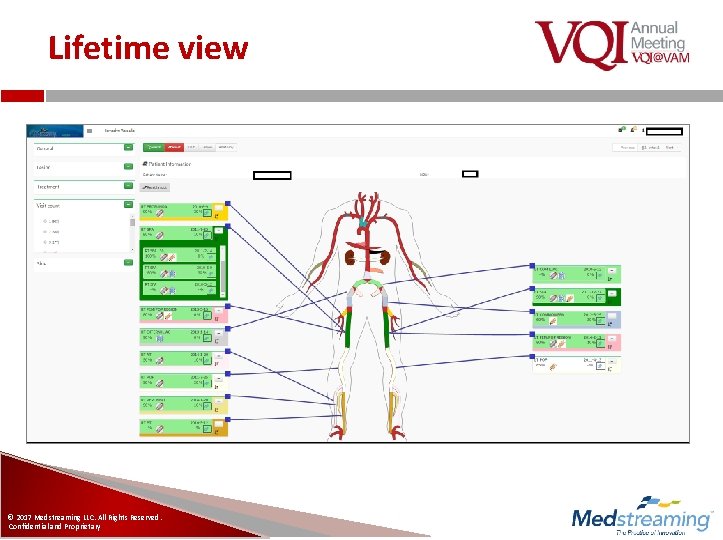 Lifetime view © 2017 Medstreaming LLC. All Rights Reserved. Confidential and Proprietary 