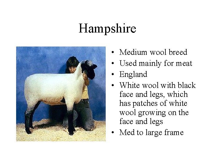 Hampshire • • Medium wool breed Used mainly for meat England White wool with