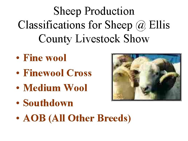 Sheep Production Classifications for Sheep @ Ellis County Livestock Show • • • Fine