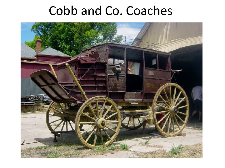 Cobb and Co. Coaches 
