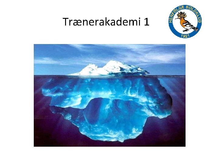 Trænerakademi 1 