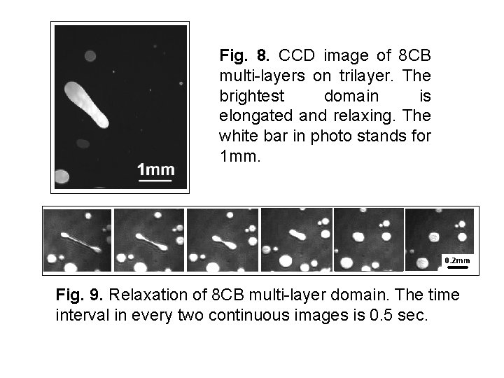 Fig. 8. CCD image of 8 CB multi-layers on trilayer. The brightest domain is