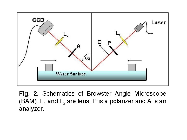 Fig. 2. Schematics of Browster Angle Microscope (BAM). L 1 and L 2 are