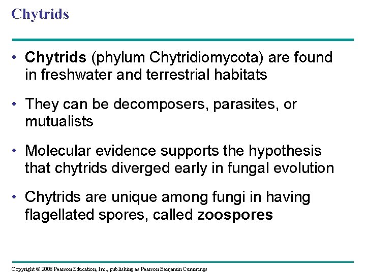 Chapter 31 Fungi Power Point Lecture Presentations For