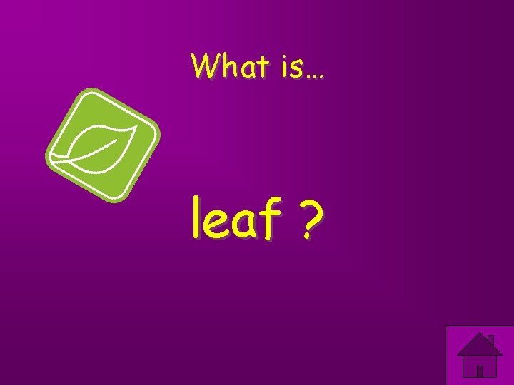 What is… leaf ? 