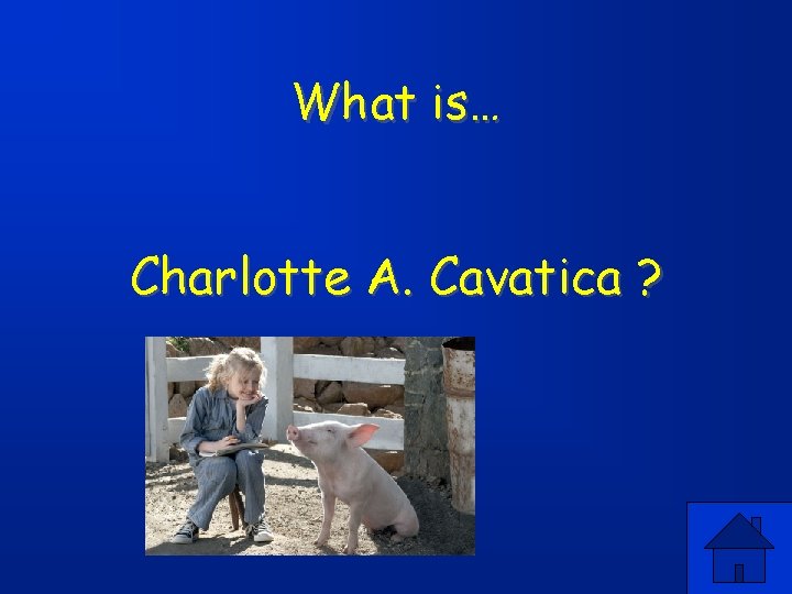 What is… Charlotte A. Cavatica ? 