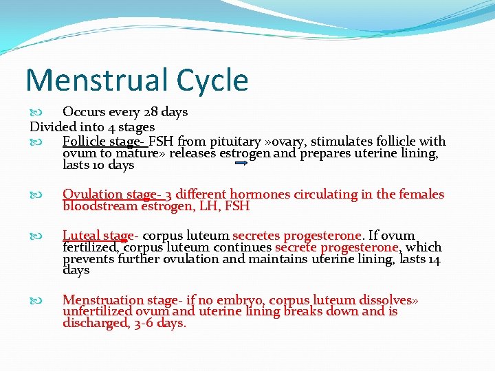 Menstrual Cycle Occurs every 28 days Divided into 4 stages Follicle stage- FSH from