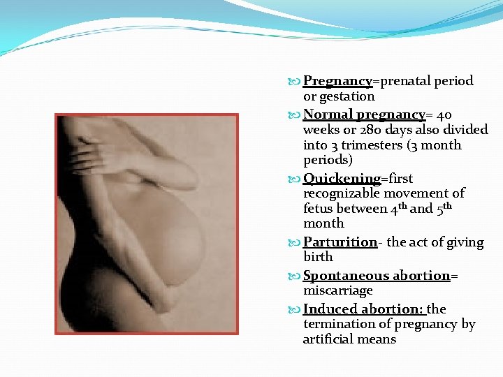  Pregnancy=prenatal period or gestation Normal pregnancy= 40 weeks or 280 days also divided