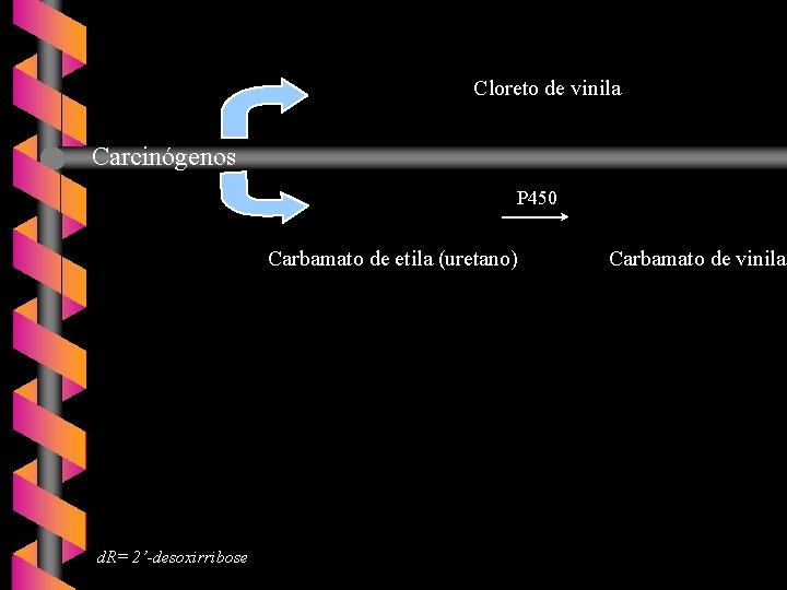 Cloreto de vinila Carcinógenos P 450 Carbamato de etila (uretano) d. R= 2’-desoxirribose Carbamato