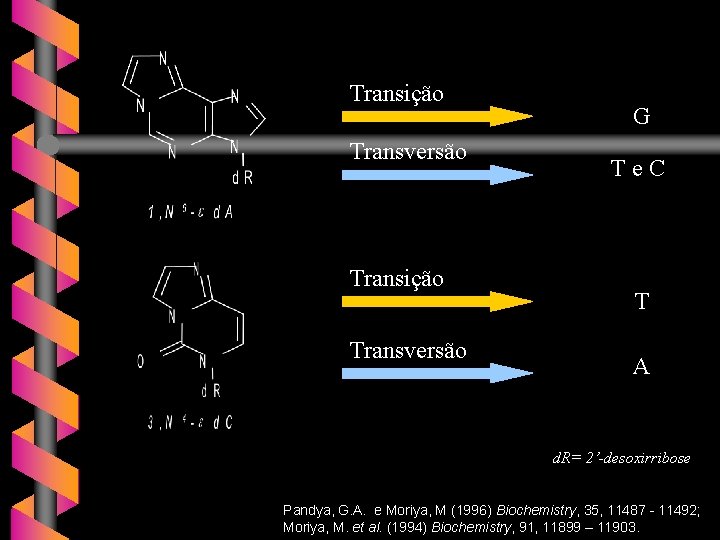 Transição Transversão G Te. C T A d. R= 2’-desoxirribose Pandya, G. A. e