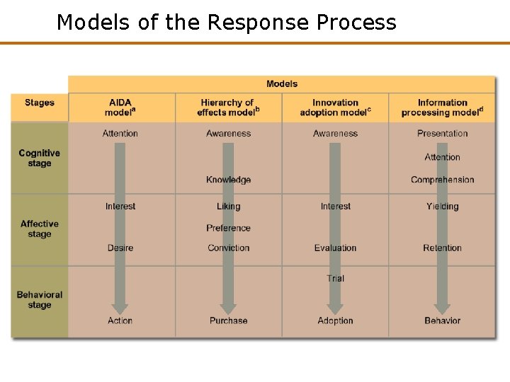 Models of the Response Process Models of the Response Process