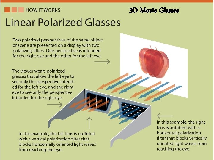 3 D Movie Glasses 