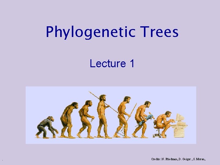 Phylogenetic Trees Lecture 1 . Credits: N. Friedman, D. Geiger , S. Moran, 