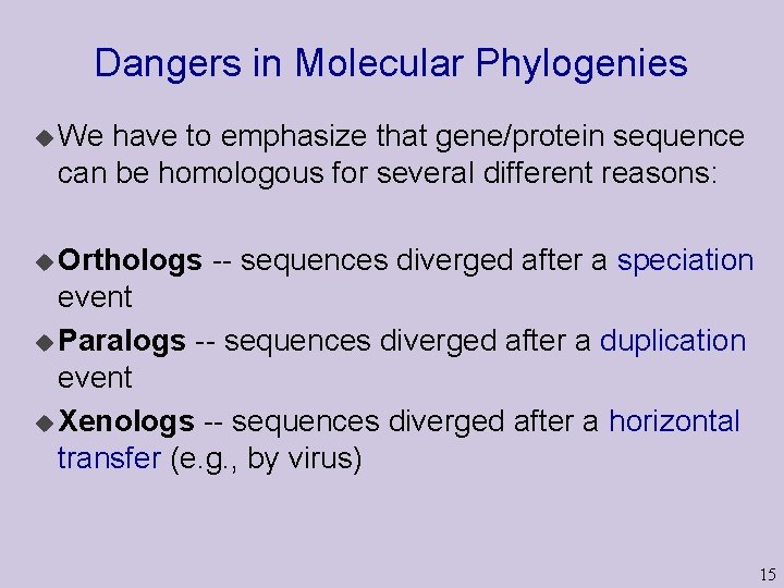 Dangers in Molecular Phylogenies u We have to emphasize that gene/protein sequence can be