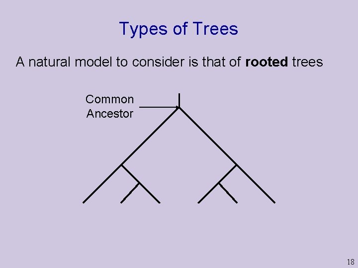Types of Trees A natural model to consider is that of rooted trees Common