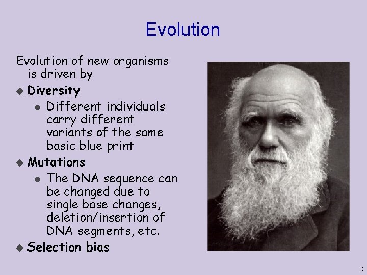 Evolution of new organisms is driven by u Diversity l Different individuals carry different