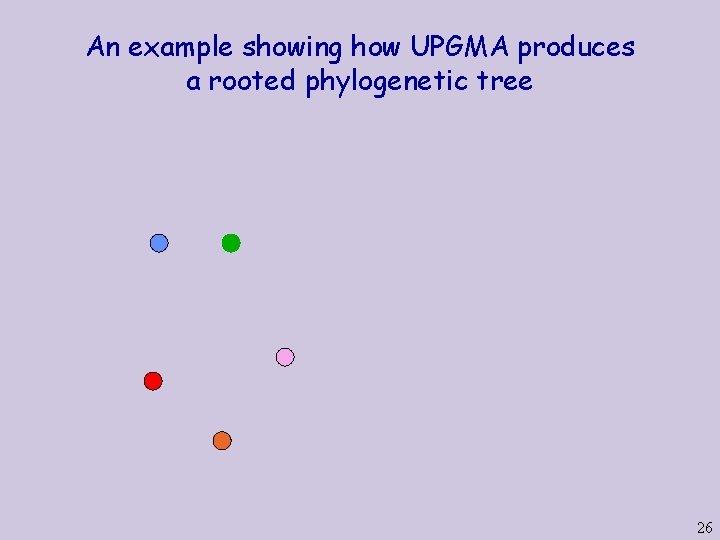 An example showing how UPGMA produces a rooted phylogenetic tree 26 