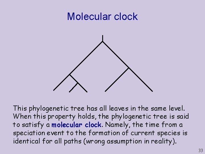 Molecular clock This phylogenetic tree has all leaves in the same level. When this