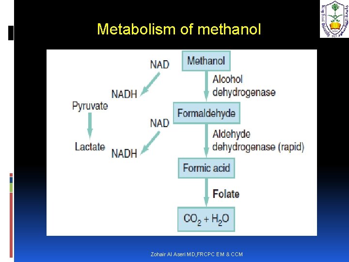 Metabolism of methanol Zohair Al Aseri MD, FRCPC EM & CCM 