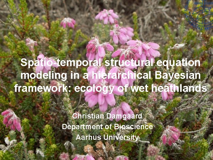 Spatio-temporal structural equation modeling in a hierarchical Bayesian framework: ecology of wet heathlands Christian