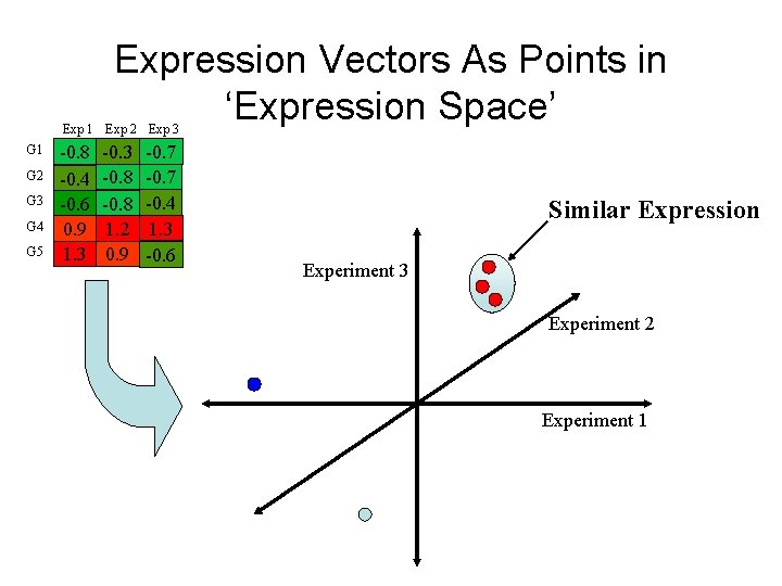 Expression Vectors As Points in ‘Expression Space’ Exp 1 Exp 2 Exp 3 G