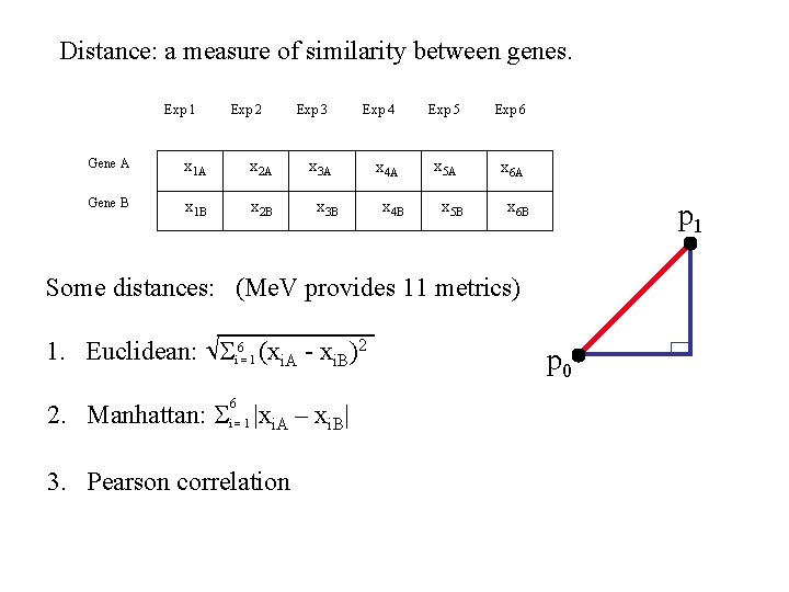 Distance: a measure of similarity between genes. Exp 1 Exp 2 Gene A x