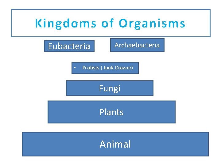 Kingdoms of Organisms Eubacteria • Archaebacteria Protists ( Junk Drawer) Fungi Plants Animal 