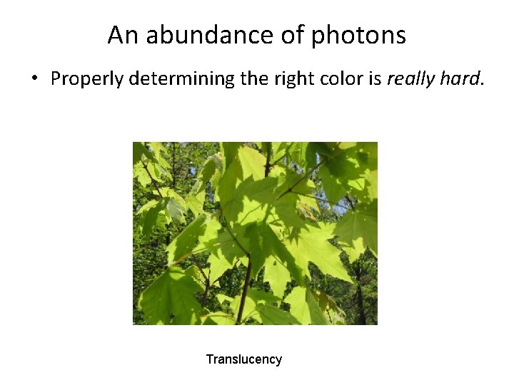 An abundance of photons • Properly determining the right color is really hard. Translucency