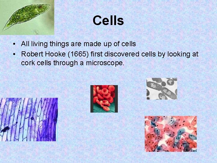 Cells • All living things are made up of cells • Robert Hooke (1665)