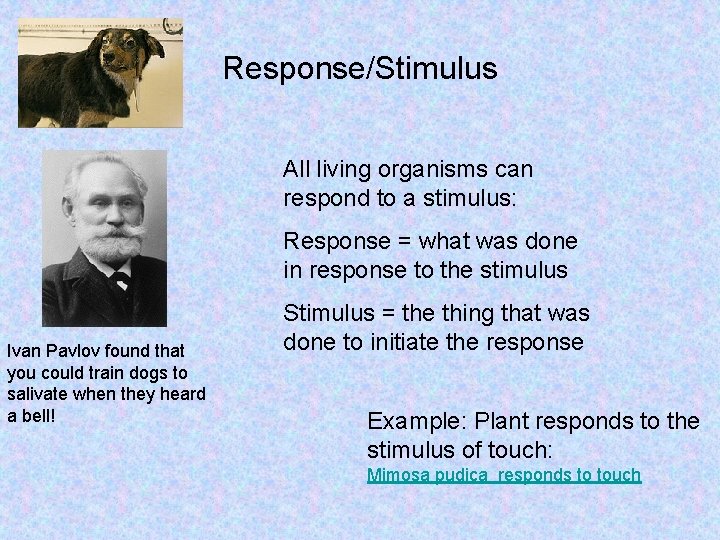 Response/Stimulus All living organisms can respond to a stimulus: Response = what was done