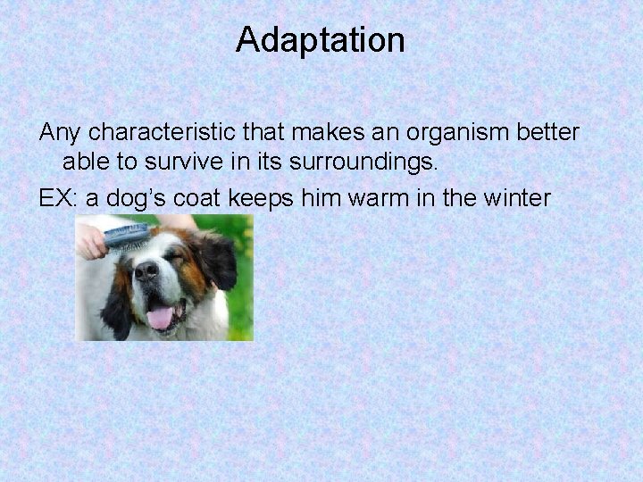 Adaptation Any characteristic that makes an organism better able to survive in its surroundings.