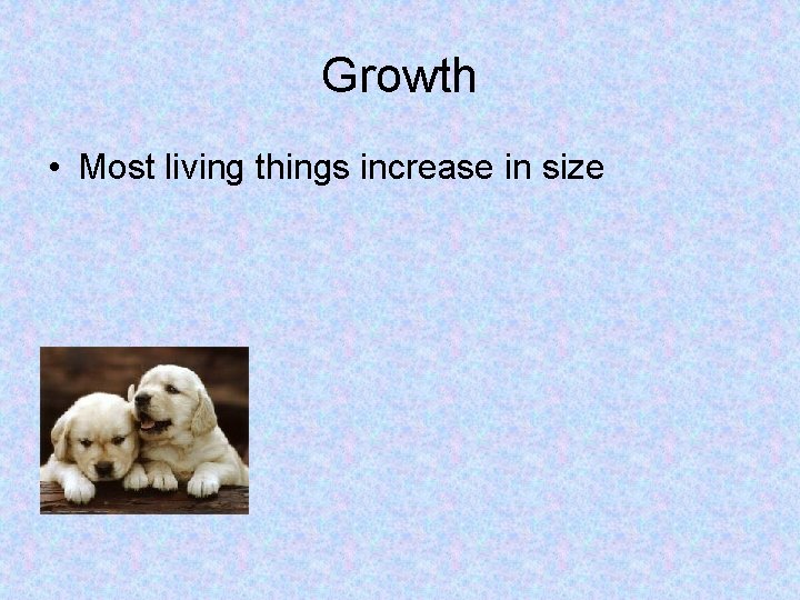 Growth • Most living things increase in size 