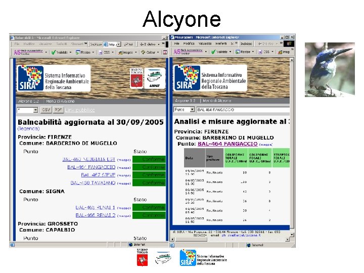 Alcyone 
