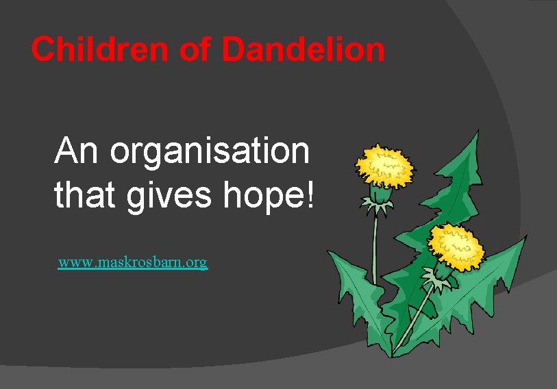 Children of Dandelion An organisation that gives hope! www. maskrosbarn. org 