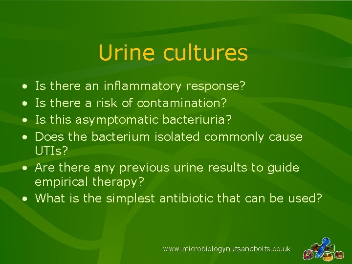 Urine cultures • • Is there an inflammatory response? Is there a risk of