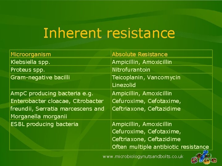 Inherent resistance Microorganism Klebsiella spp. Proteus spp. Gram-negative bacilli Absolute Resistance Ampicillin, Amoxicillin Nitrofurantoin