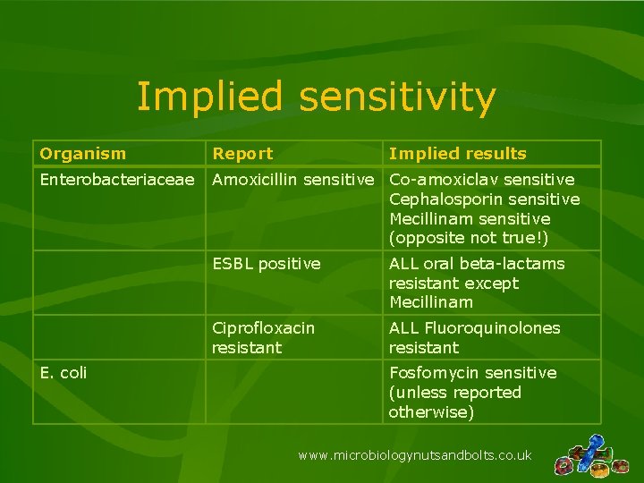 Implied sensitivity Organism Report Enterobacteriaceae Amoxicillin sensitive Co-amoxiclav sensitive Cephalosporin sensitive Mecillinam sensitive (opposite