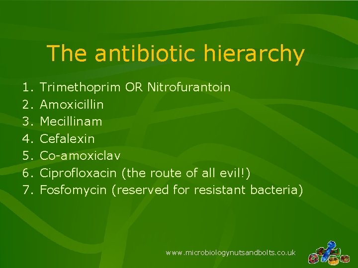 The antibiotic hierarchy 1. 2. 3. 4. 5. 6. 7. Trimethoprim OR Nitrofurantoin Amoxicillin
