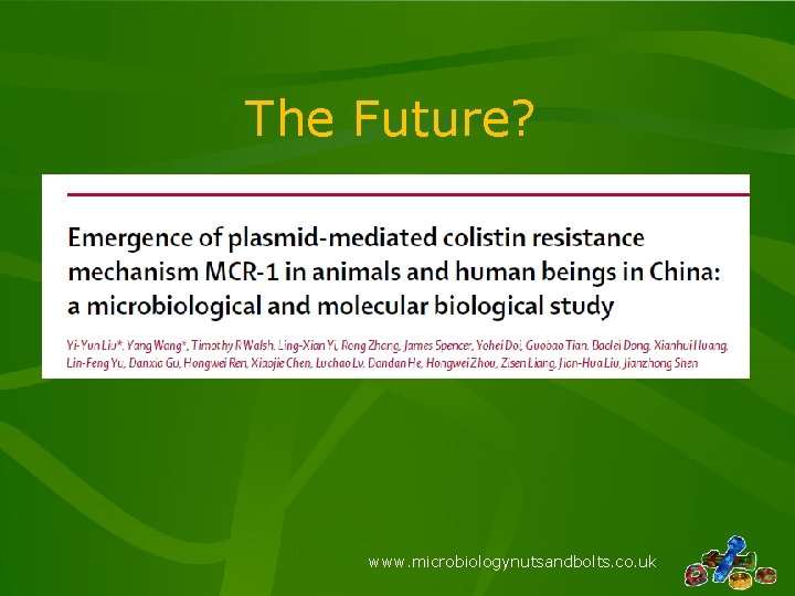 The Future? www. microbiologynutsandbolts. co. uk 